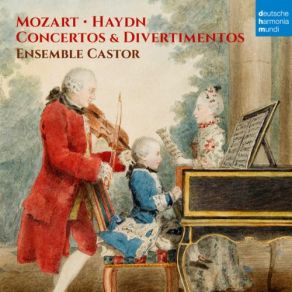 Mozart & Haydn: Concertos & Divertimentos album cover