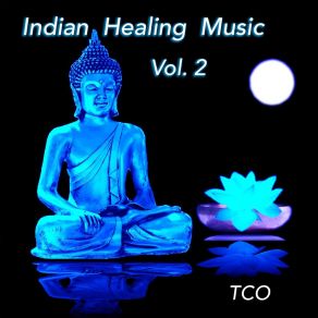 Indian Healing Music Vol. 2 (Indian Music For Yoga, Meditation And Chill Out, Performed On Indian Flutes, Tabla, Sitar, Drums And Chants) album cover