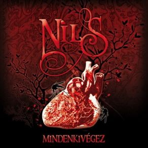 Mindenkivégez album cover