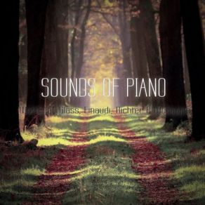 Sounds Of Piano (Works Of Glass, Einaudi, Richter & Woodapple) album cover