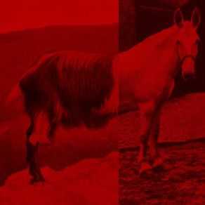 Goathorse album cover
