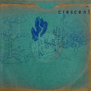 Resin Pockets album cover