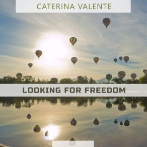 Looking For Freedom album cover