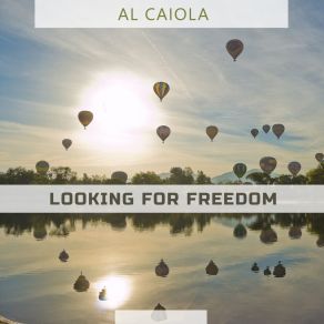 Looking For Freedom album cover