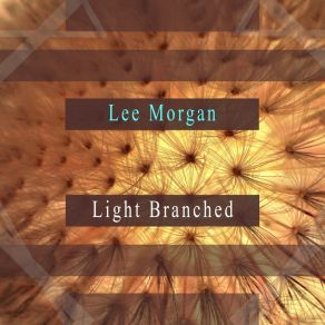 Light Branched album cover