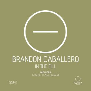 In The Fill album cover