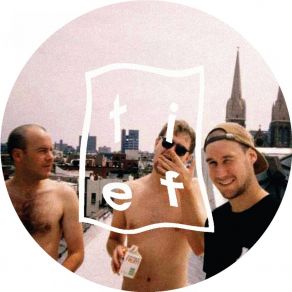 Dolphin Hotel album cover
