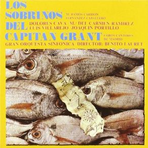 Los Sobrinos Del Capitan Grant (Maxi-Single) album cover