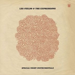 Special Night (Instrumentals) album cover