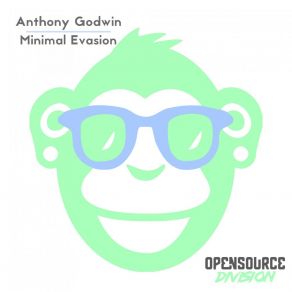 Minimal Evasion album cover