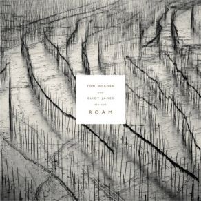 Tom Hobden & Eliot James Present: Roam album cover