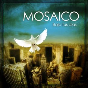 Bajo Tus Alas album cover