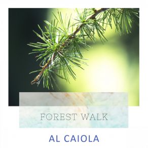 Forest Walk album cover