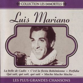 Les Plus Grandes Chansons album cover