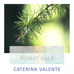 Forest Walk album cover