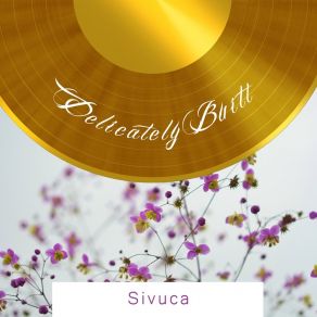 Delicately Built album cover