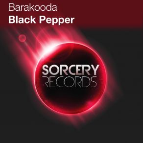 Black Pepper (Single) album cover