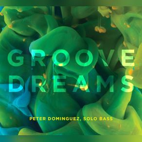 Groove Dreams album cover