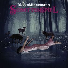 Schattenspiel album cover