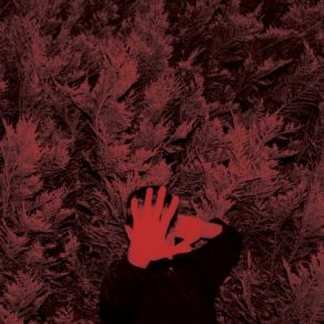 The Unborn Capitalist From Limbo album cover