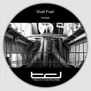 Voices (Maxi-Single) album cover