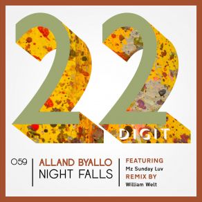 Night Falls (Maxi-Single) album cover