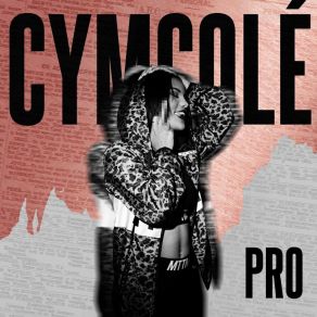 Pro (Single) album cover