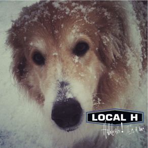 Hallelujah Im A Bum album cover