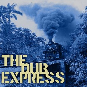 The Dub Express Vol. 15 Platinum Edition album cover