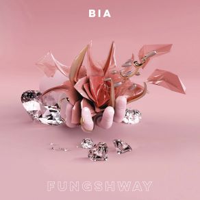 Fungshway (Single) album cover