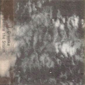 Before The Storm album cover