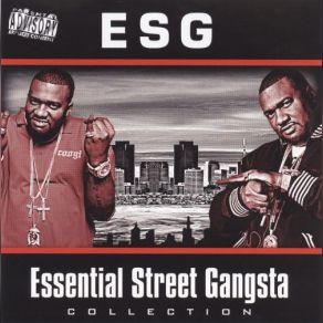 The Essential Street Gangsta Collection album cover
