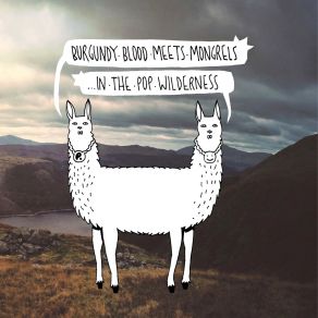 In The Pop Wilderness album cover