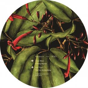 Clear Mind album cover