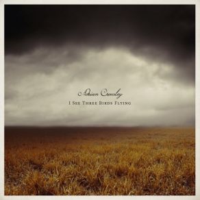 I See Three Birds Flying album cover
