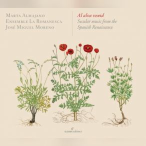 Al Alva Venid: Secular Music From The Spanish Renaissance album cover