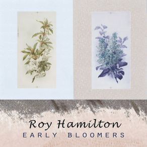 Early Bloomers album cover
