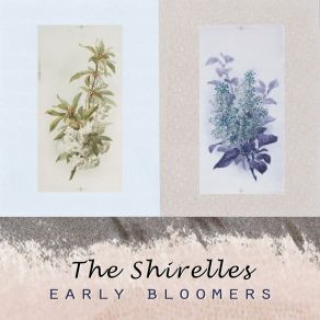 Early Bloomers album cover