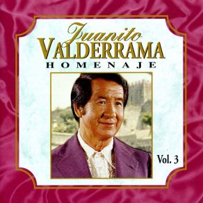 Homenaje, Vol. 3 album cover