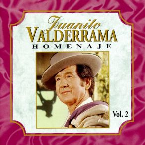 Homenaje, Vol. 2 album cover