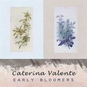 Early Bloomers album cover