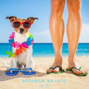 Przeboje Na Lato album cover