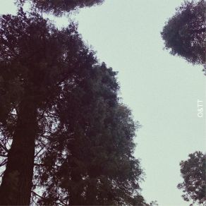The Declaration Of Indie album cover