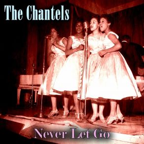 Never Let Go album cover