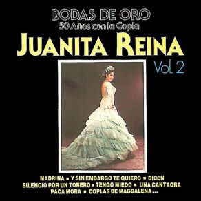 Bodas De Oro, Vol. 2 album cover