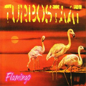 Flamingo album cover