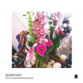 Secret Boy album cover