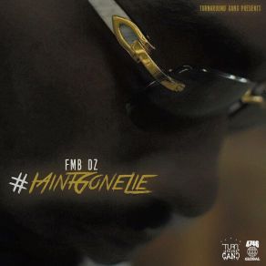 I Aint Gone Lie album cover