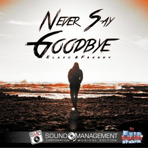 Never Say Goodbye (Euro Dance # Fabrik) album cover