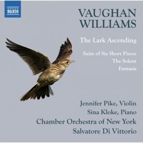 Vaughan Williams - The Lark Ascending; Fantasia; The Solent - Salvatore Di Vittorio album cover